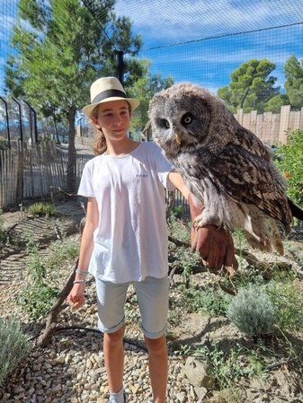 Activity Falconer for a day - Unusual experiences in Ecozonia